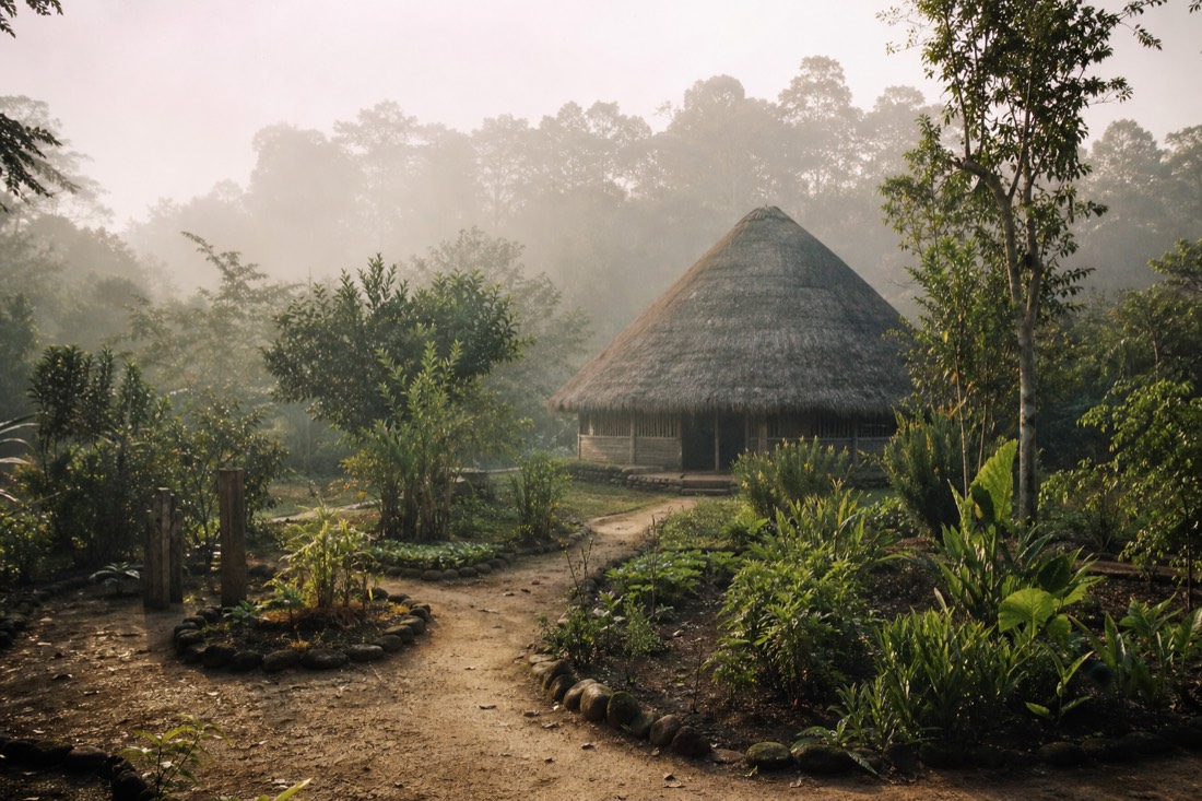 Small thatched-roof maloca in morning mist surrounded by tended garden paths