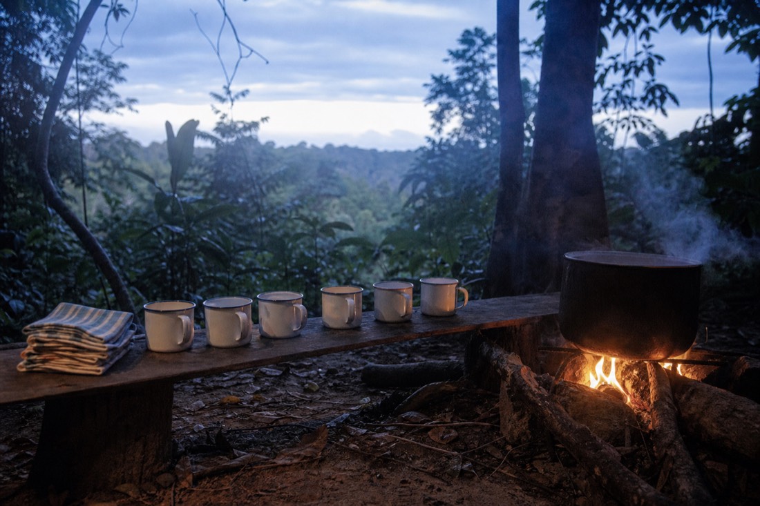 Row of enamel cups and folded cloths beside a steaming pot over an open fire in a jungle clearing at dawn, Loreto region