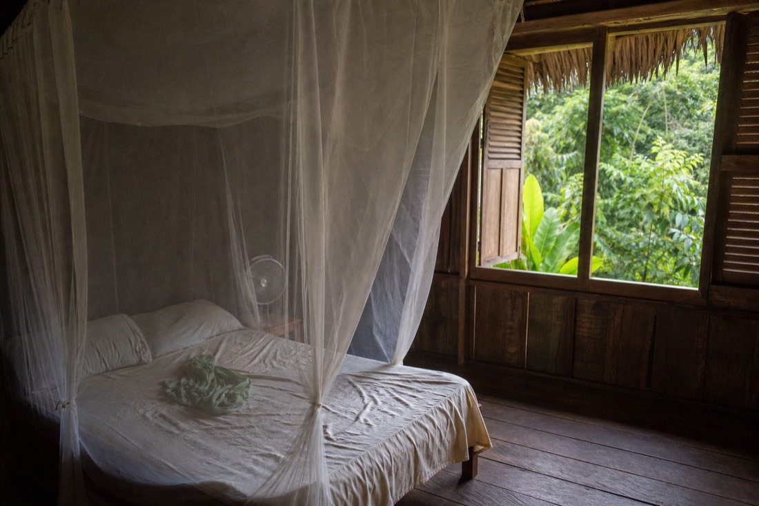 Simple private guest room with mosquito net and wooden shutters opening onto green jungle