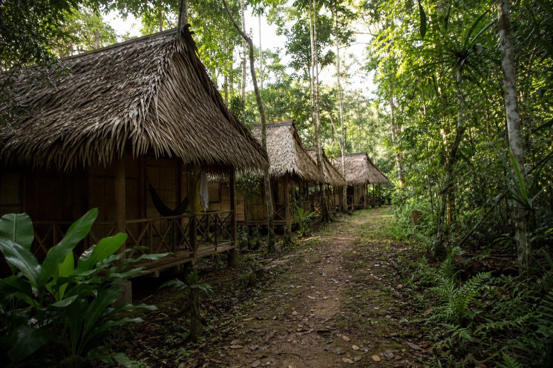 Row of small thatched tambos along a jungle path receding into green forest near Tamshiyacu