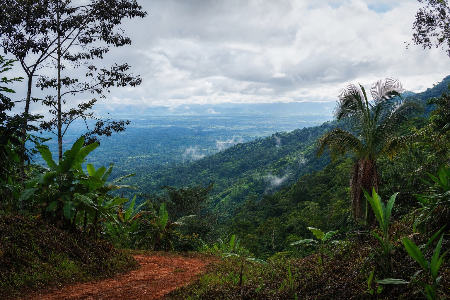 Forested high-jungle hills near Tarapoto where the Andes fall into the Amazon, home of Peru's therapeutic ayahuasca tradition